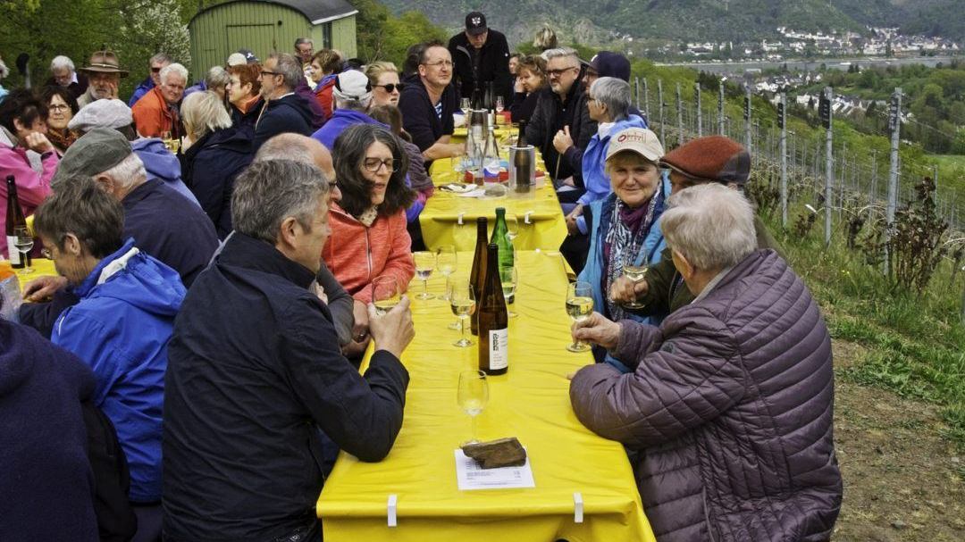 Arbeiten im Weinberg